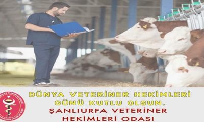 Şanlıurfa Veteriner Hekimleri Odası Başkanı Abdullah Açıkgöz `den Dünya Veteriner Hekimler Günü Mesajı