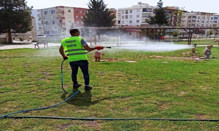 Havalar Isındı Haşerelerle Mücadele Başladı