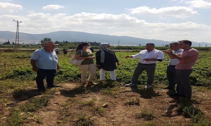 TARIMKON Adana’da dev bir tesis ve istihdam için kollarını sıvadı