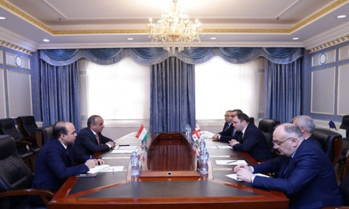 Meeting with the delegation of the Parliament of Georgia